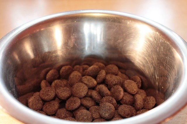 Be Aware Of Dog Foods With High Levels of Vitamin D