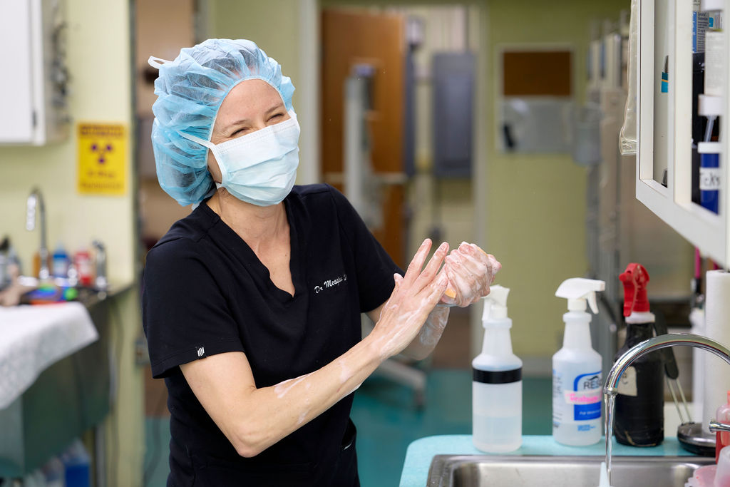 Spotsylvania Animal Hospital Modern Equipment