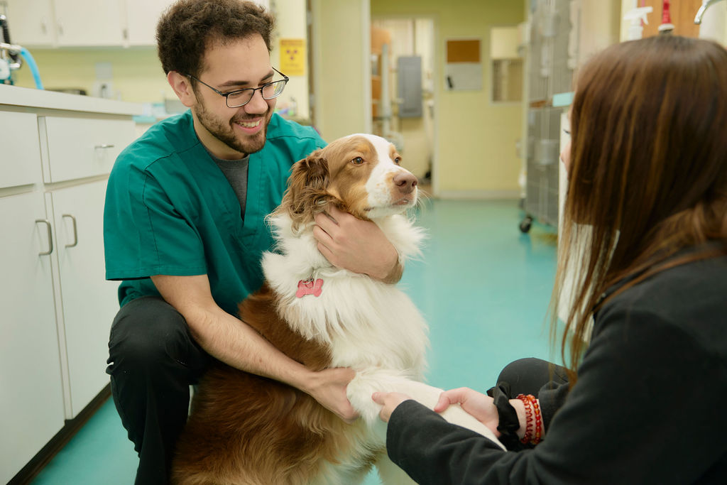 Spotsylvania Animal Hospital Lab and Equipment