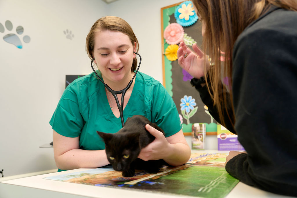 Spotsylvania Staff Performing Therapy Procedure