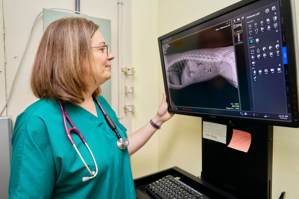 Spotsylvania Lab Technician 