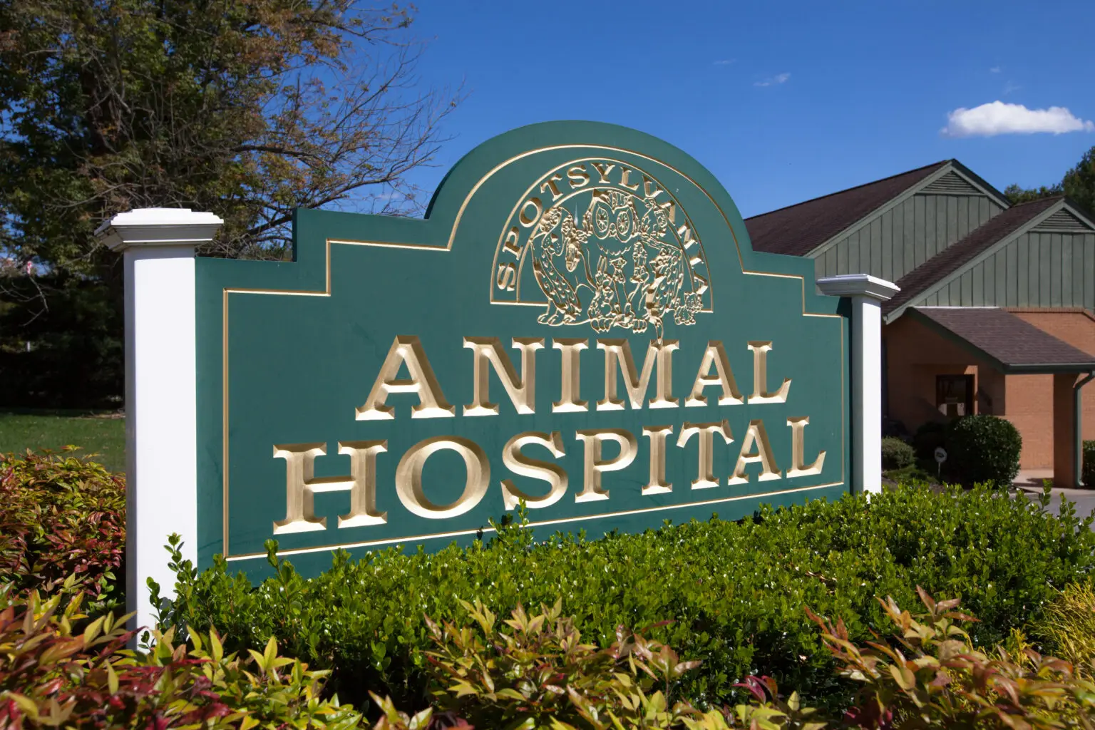 The Spotsylvania Animal Hospital exterior sign.