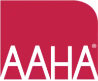 Ahha-01